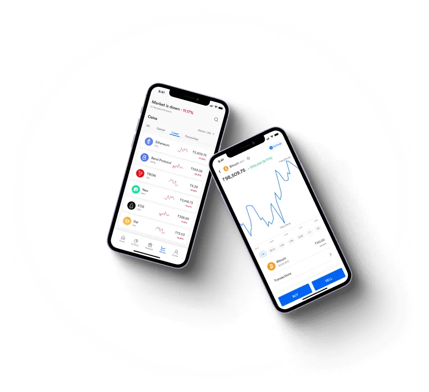 Cazka Zenonix - How does the Cazka Zenonix application promote financial accessibility?